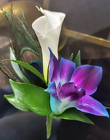 Cala Lily Orchid Peacock Feather Boutonneire