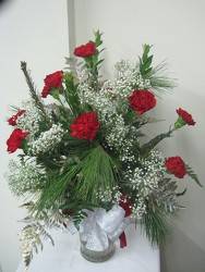 Christmas Carnations 