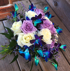 Dendrobian Bouquet