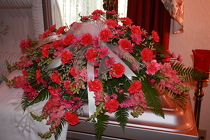 Fuschia Remembrance Casket Spray