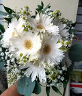Gerbera Daisy White Bouquet