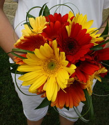 Gerbera Daisy Bouquet 