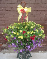 Hanging Basket 