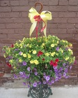 Hanging Basket