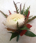 Ranunculas Boutonneire
