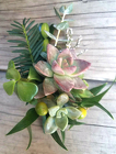 Succulent Corsage