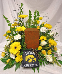 Iowa Hawkeyes 