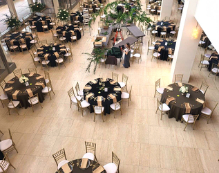 Airy Venue Decor 