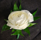 White Ranunculas Boutonniere