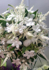 White Star Bouquet
