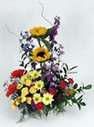 Prairie Flowers